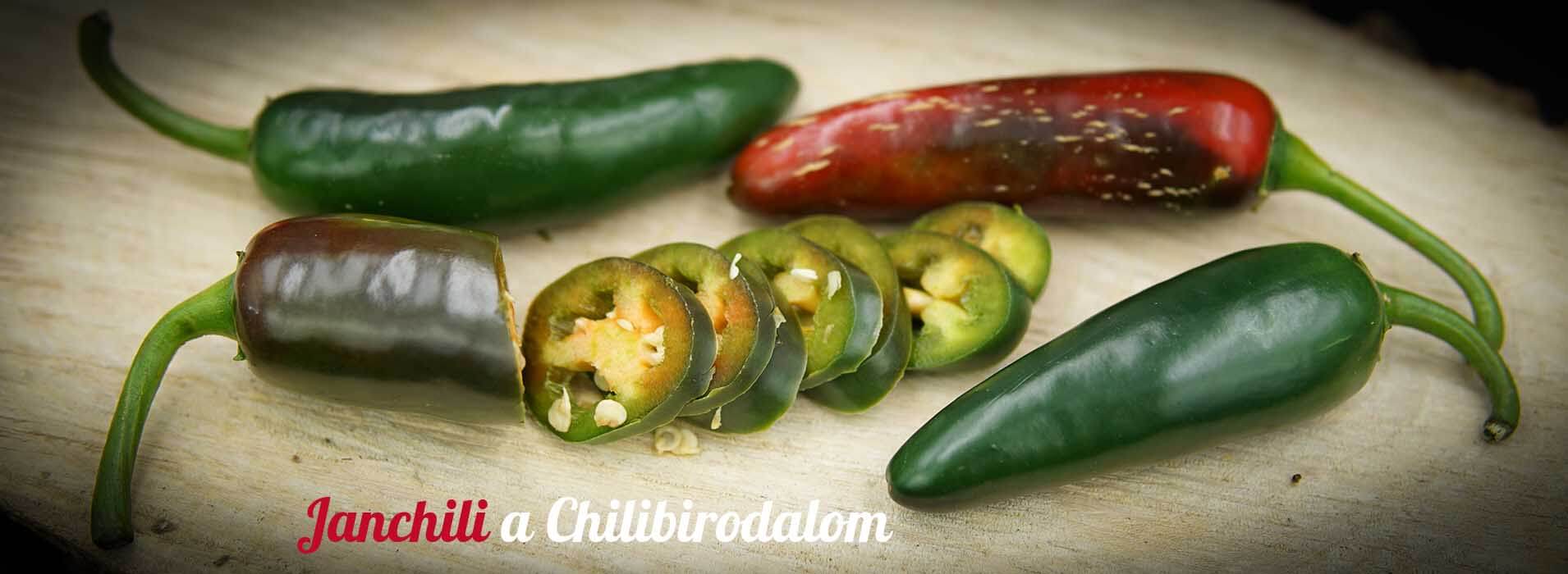 Janchili